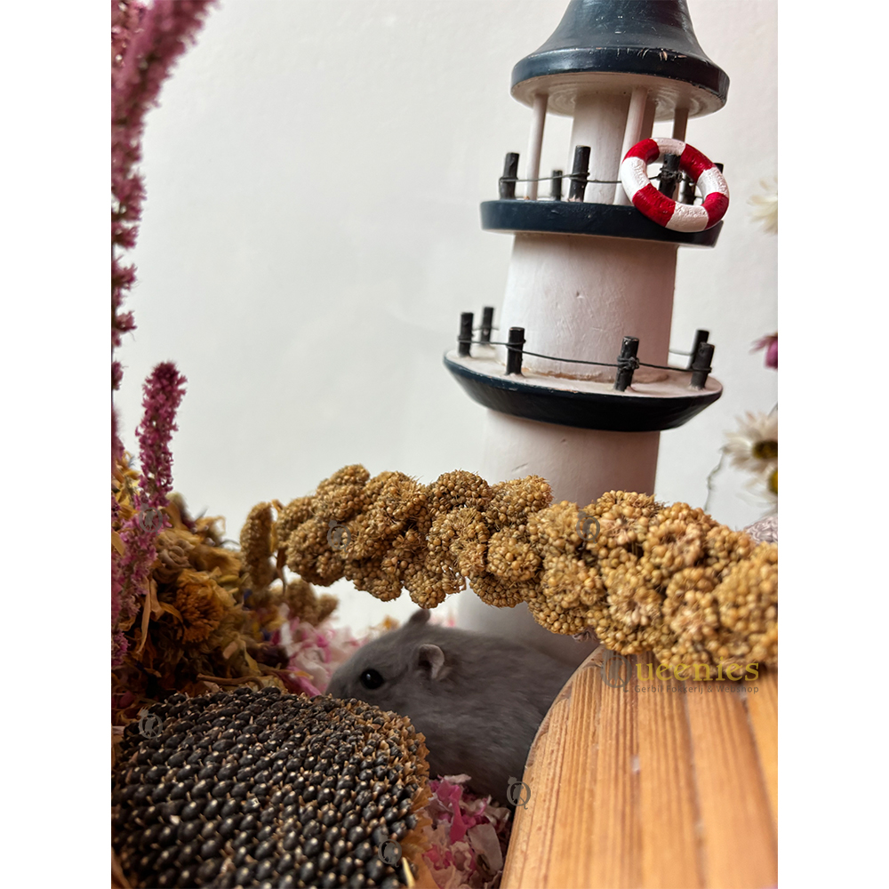 Decoratie vuurtoren