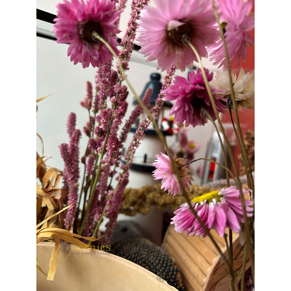 Verschillende soorten gedroogde bloemen