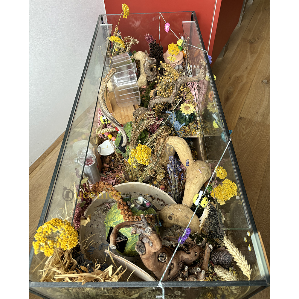 Gele bloemen