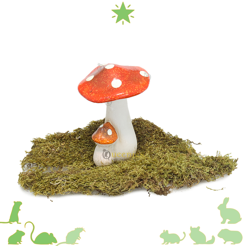Paddenstoel rood met witte stippen