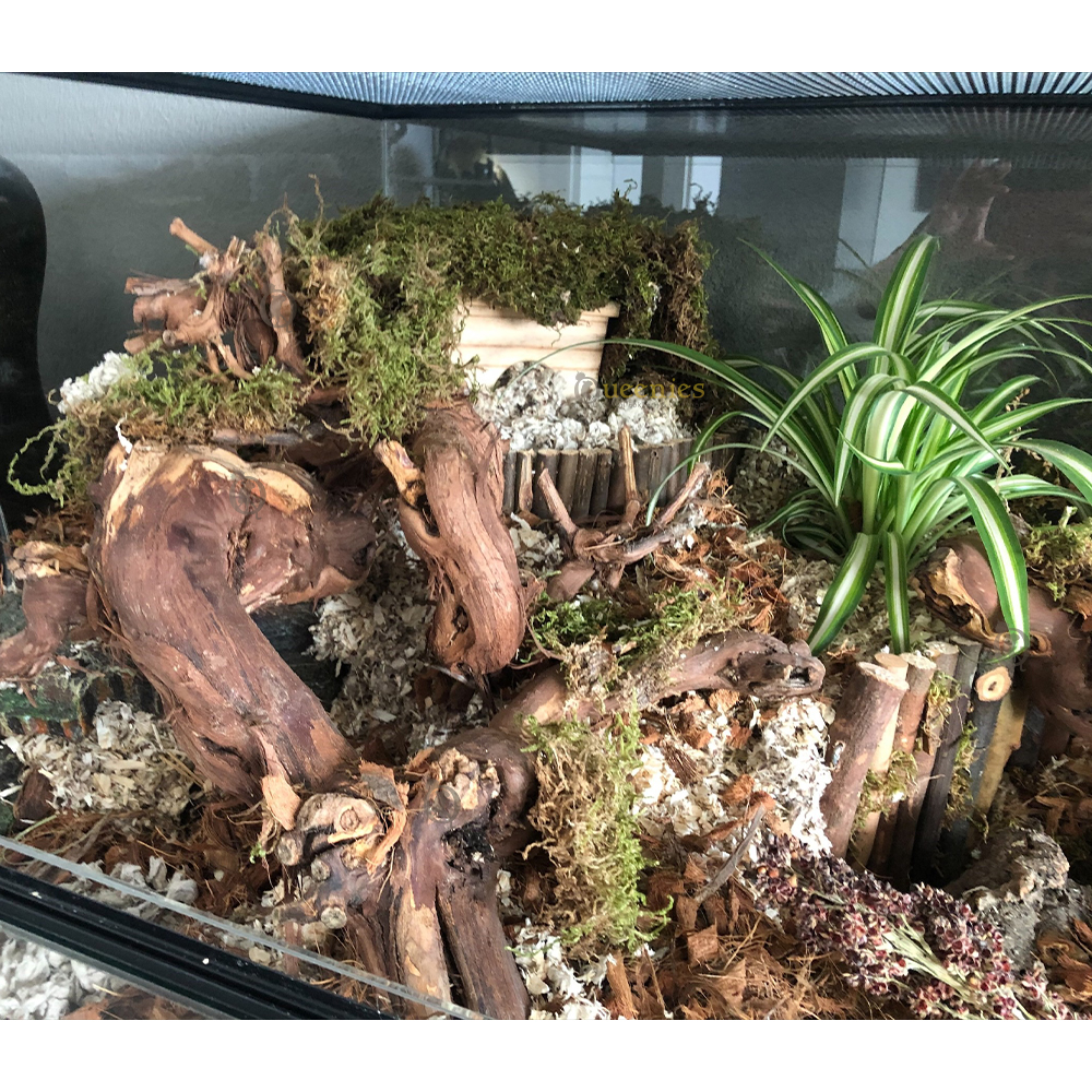 Wijnrank gezandstraald, L