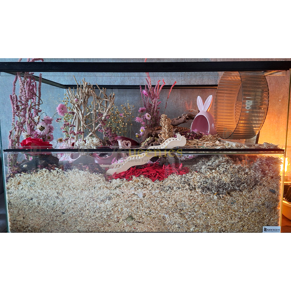 Goudhamster Terrarium