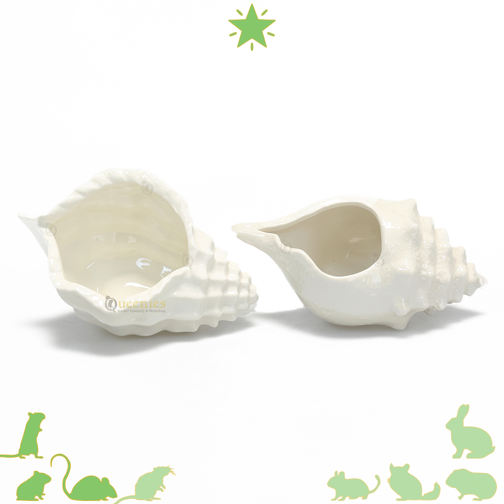 Huisjes in vorm van een Schelp