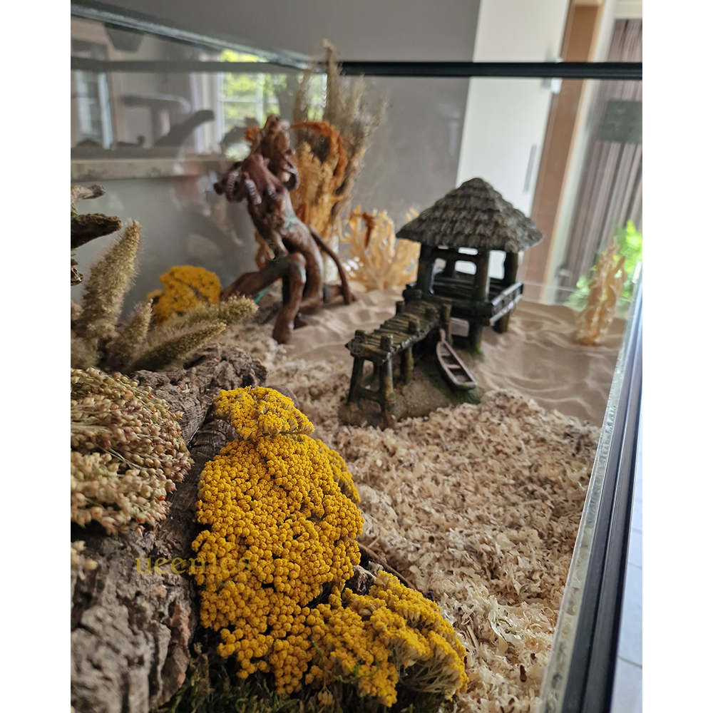 Grote gele bloemen