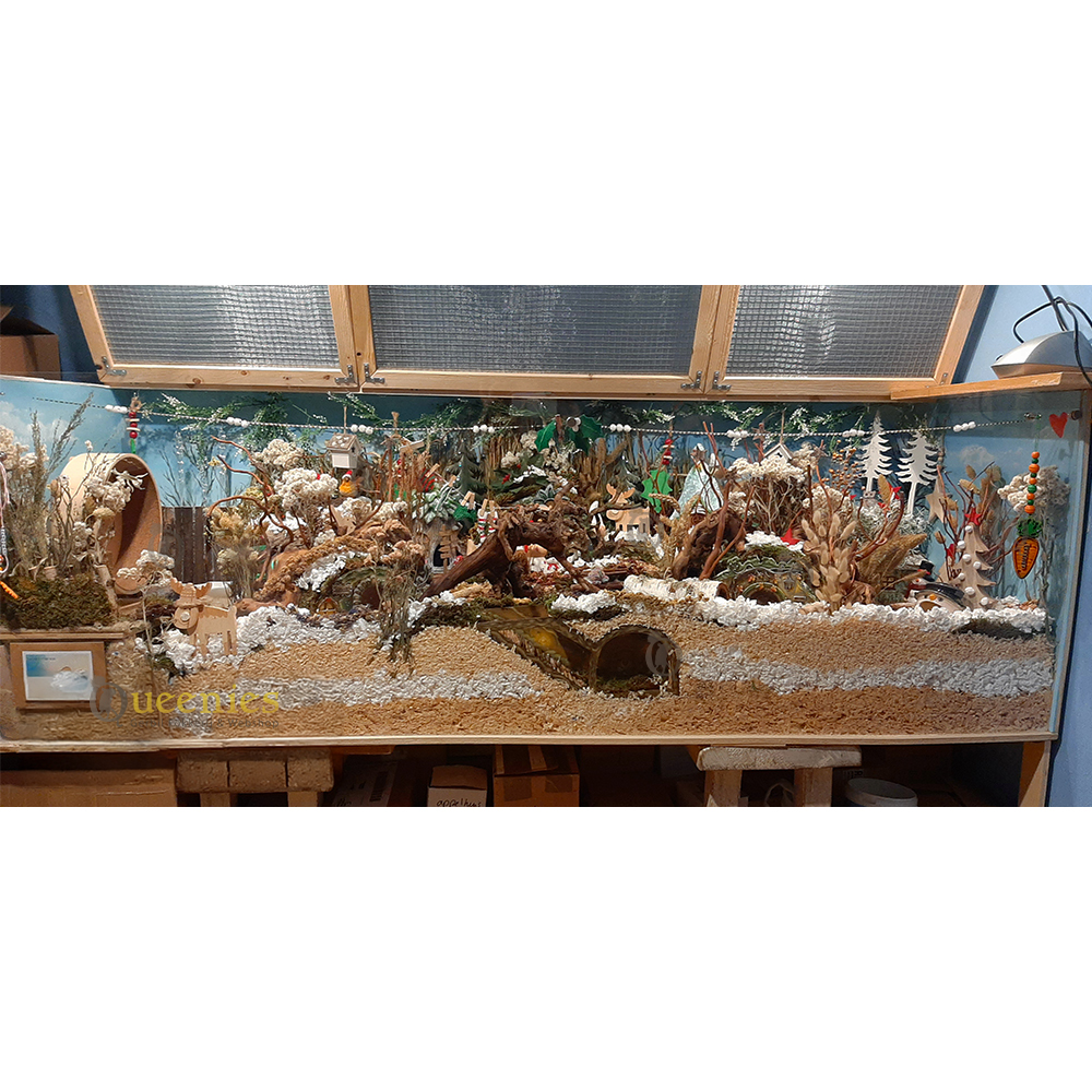 Hamster Watchbox Hamster- DIY Watchbox voor Knaagdieren