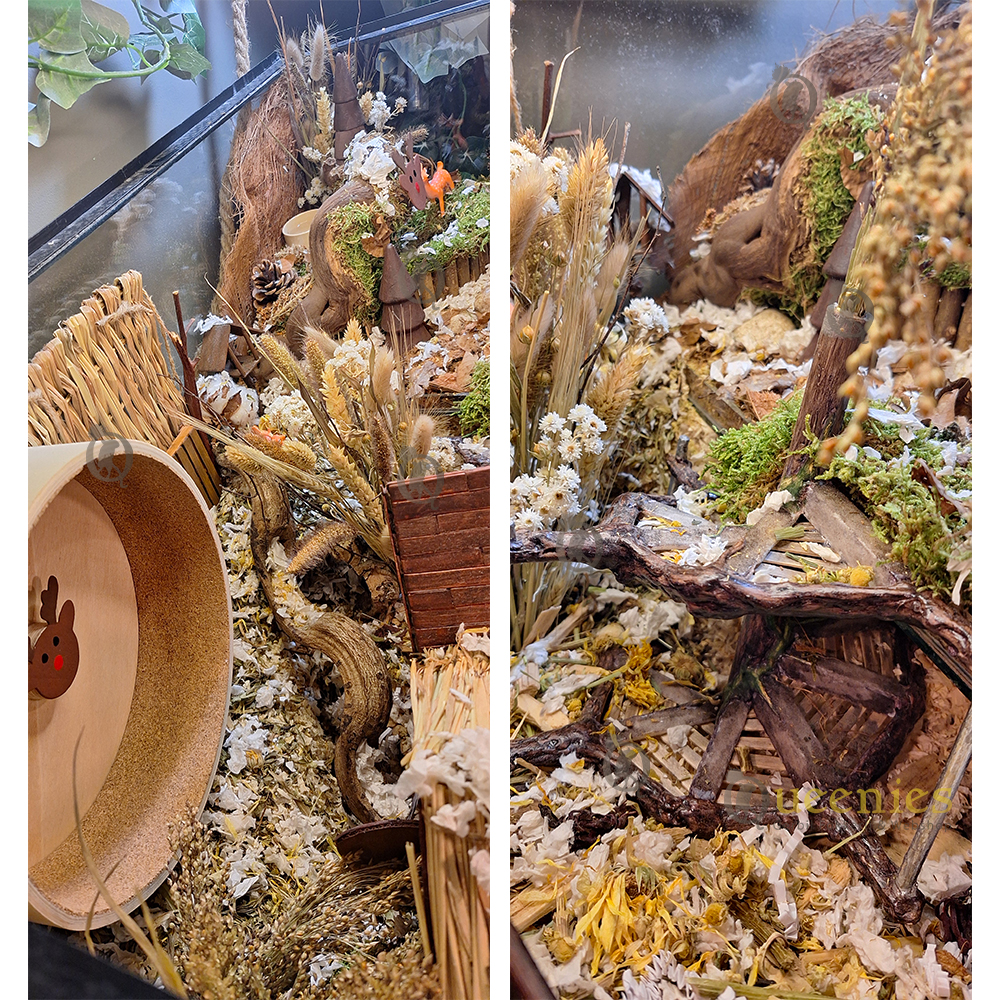 Loopwielen en renrad voor Knaagdieren