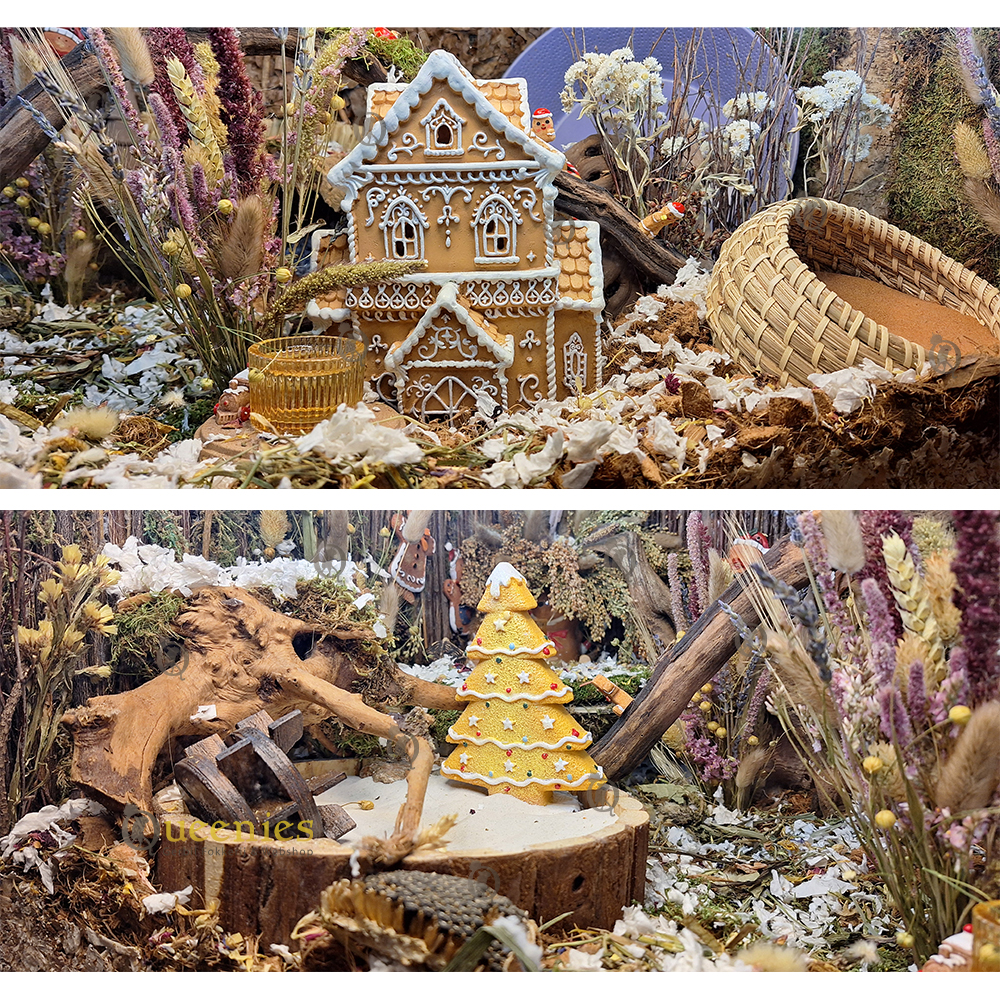 Spiderwood - Decoratief klimhout