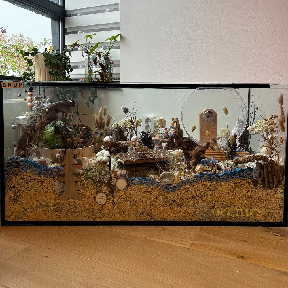 Color Wood – Kleur de Hamsterscape