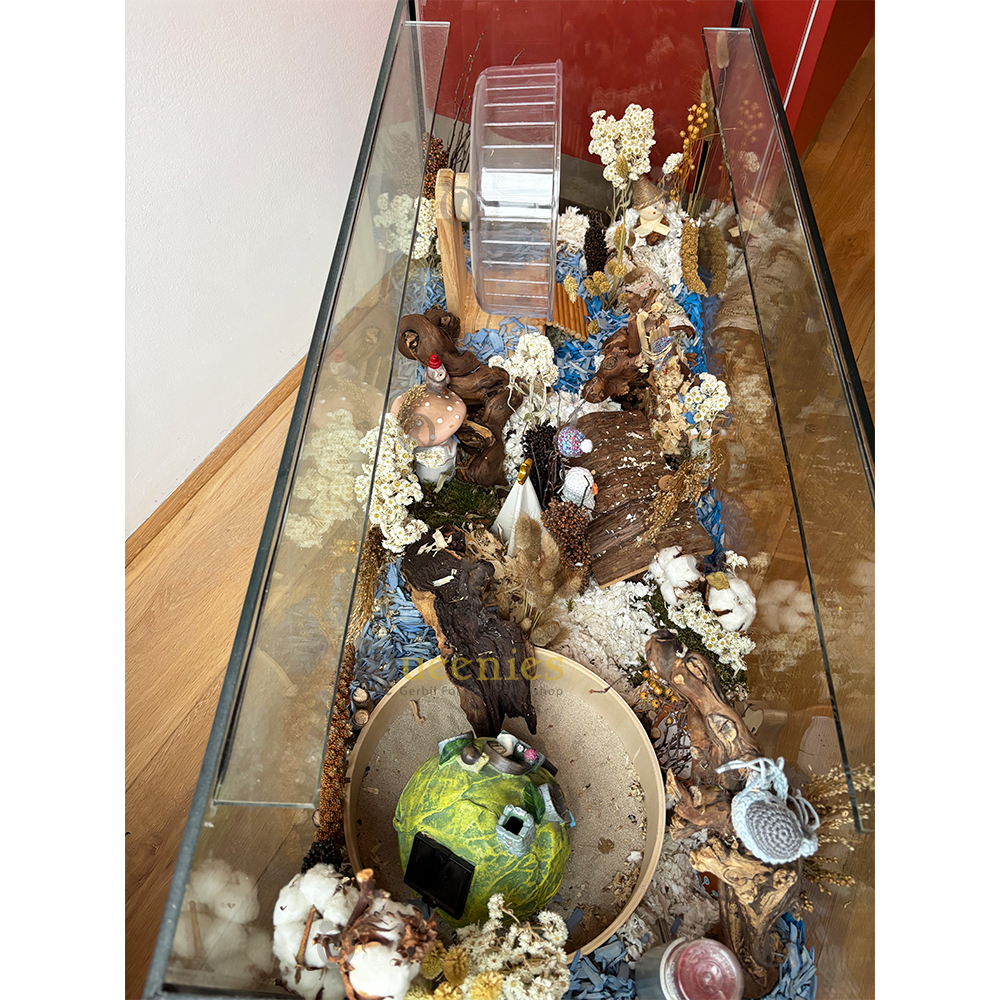 Gedroogde Edelweiss 50 cm voor Knaagdieren en Konijnen