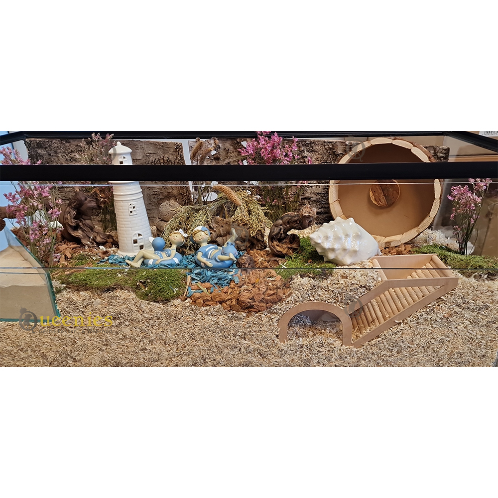 Terrariums voor Hamsters