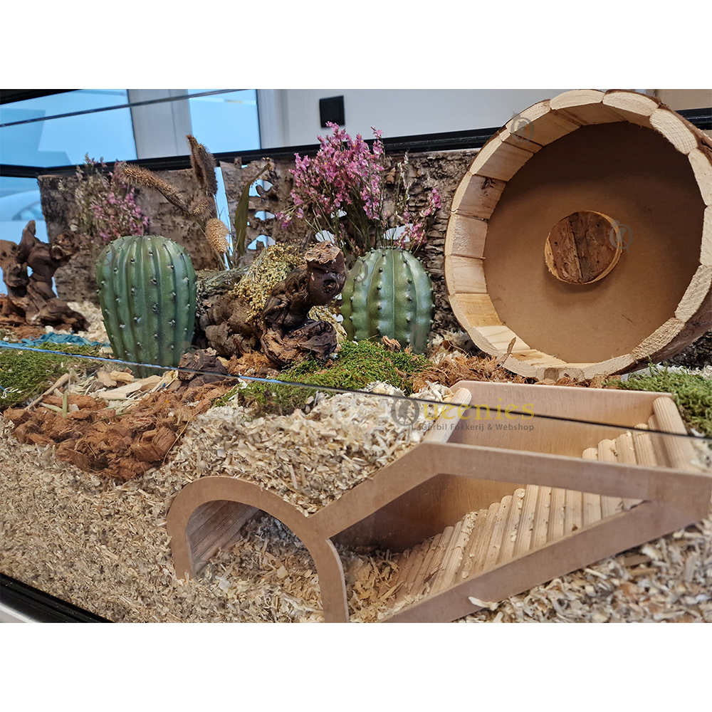 Watchbox diy product