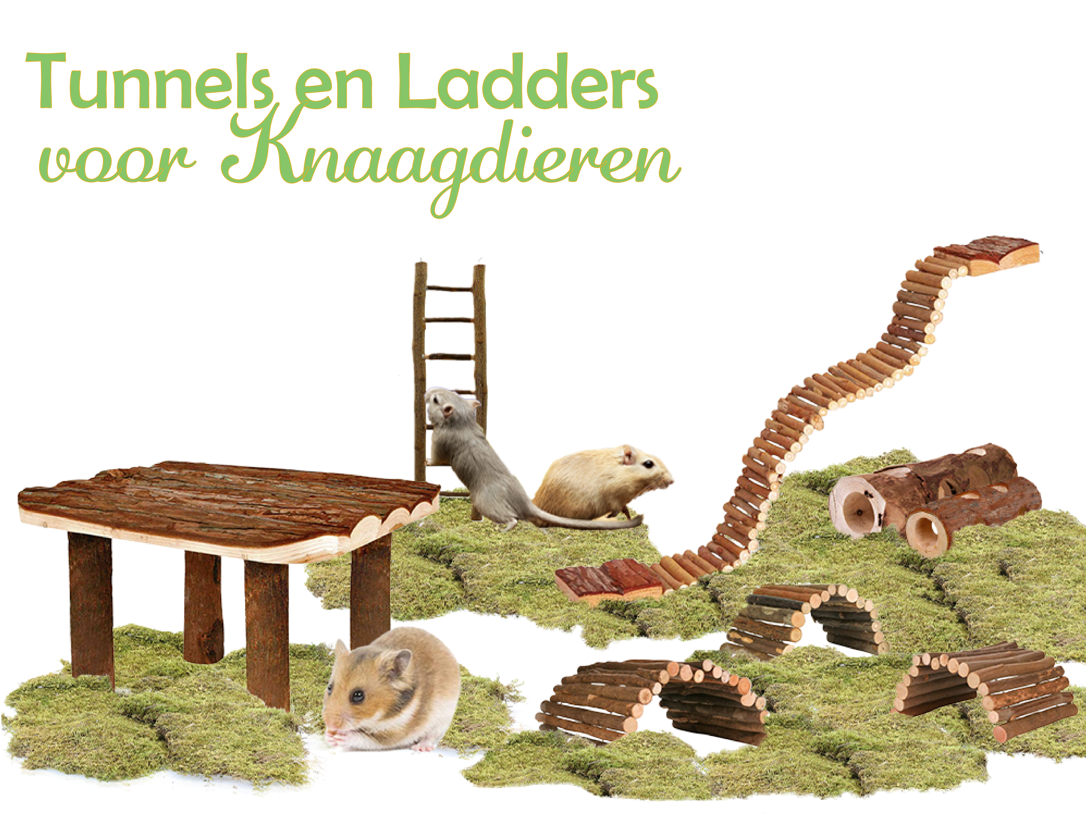Tunnels & Ladders