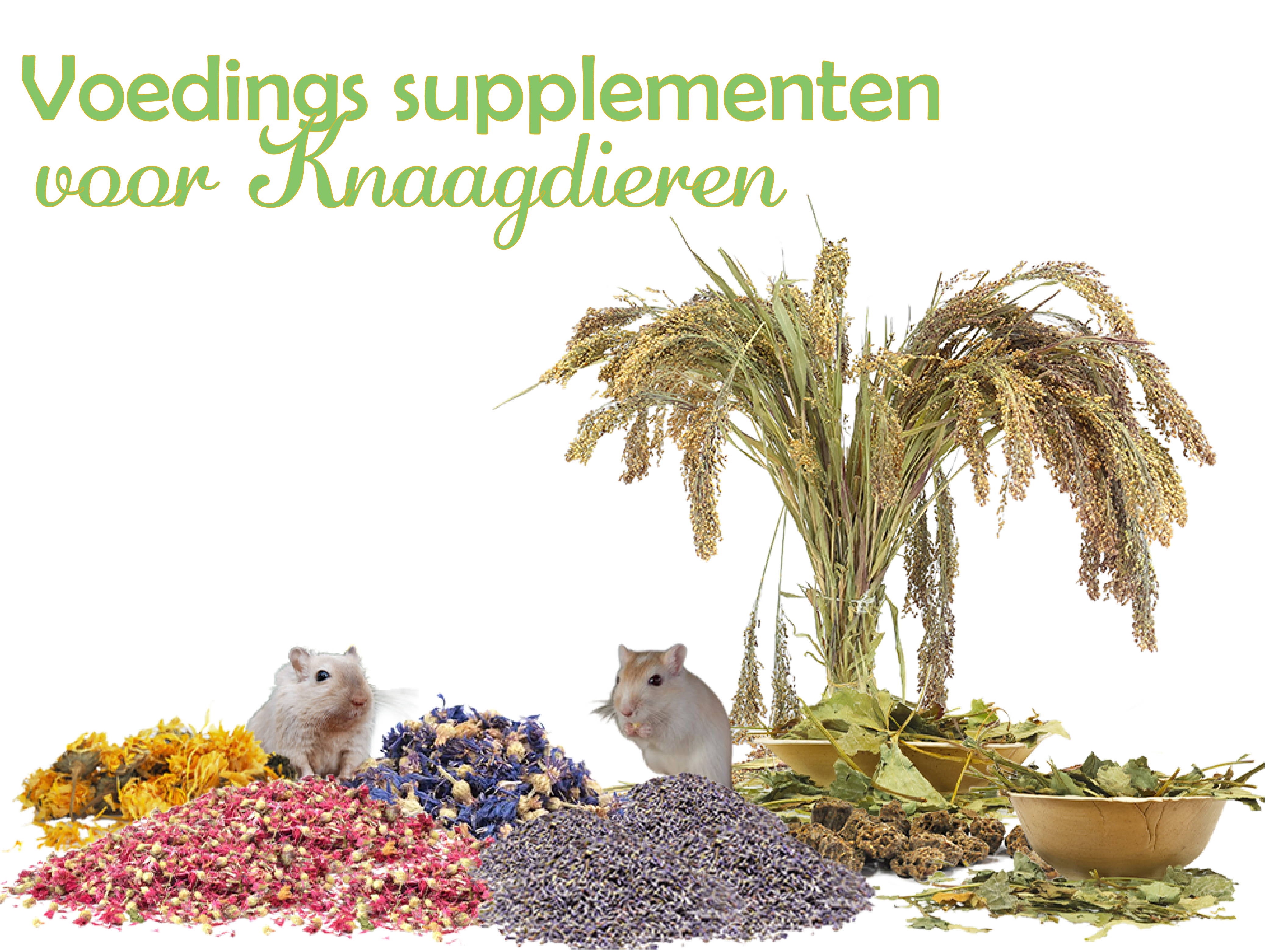 Voeding supplementen