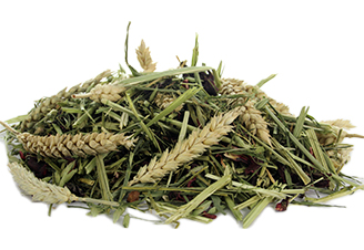 Voeding supplementen