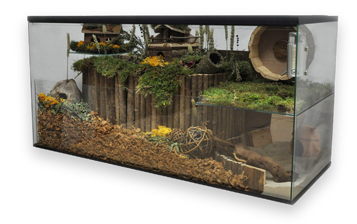 Afbeelding van een gerbilarium