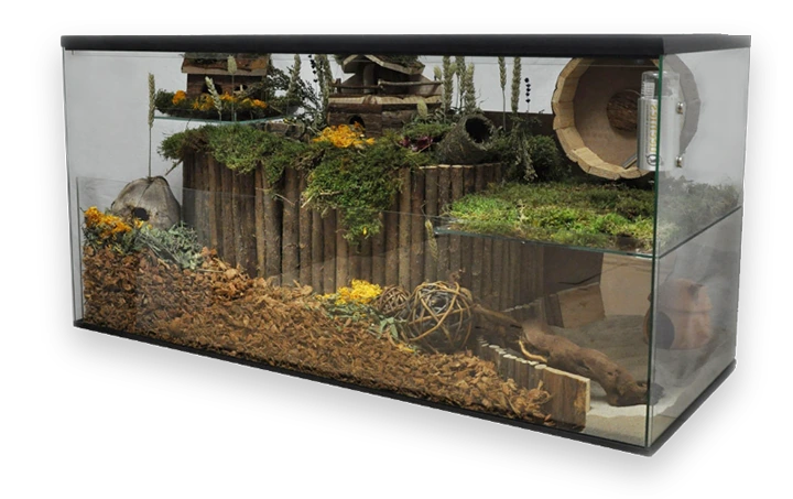 Afbeelding van een gerbilarium