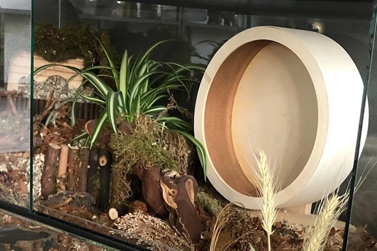 Terrarium op maat