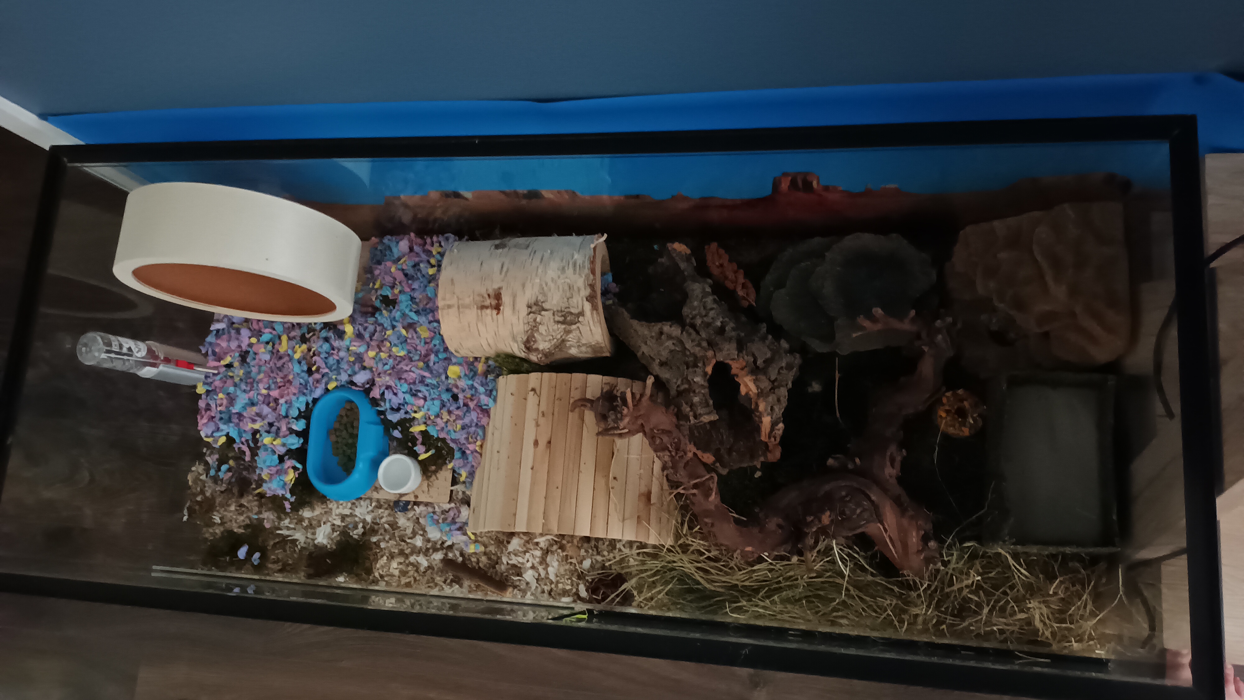 120x50x60 Hamster Terrarium met schuifruiten zonder plateaus