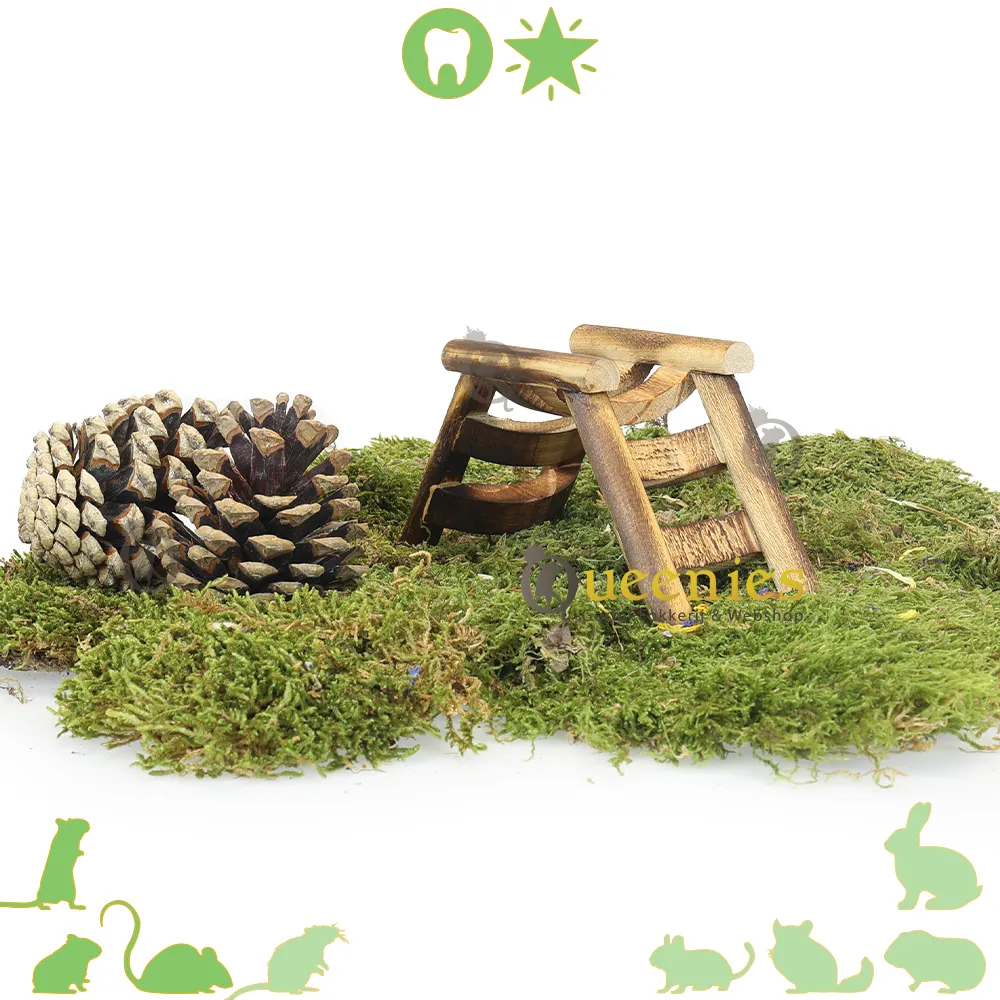 Nagergaleria Hamsterladder van natuurlijk hout, brug, trap, natuurlijk hout, klimaccessoires, speelgoed voor hamsters en kleine dieren, handgemaakt