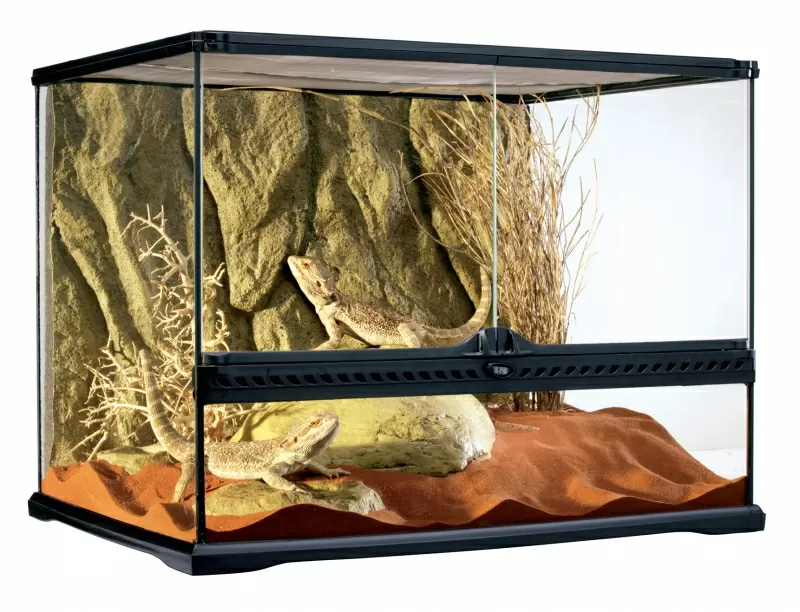 Terrarium voor knaagdieren met openslaande deuren ipv schuifruiten