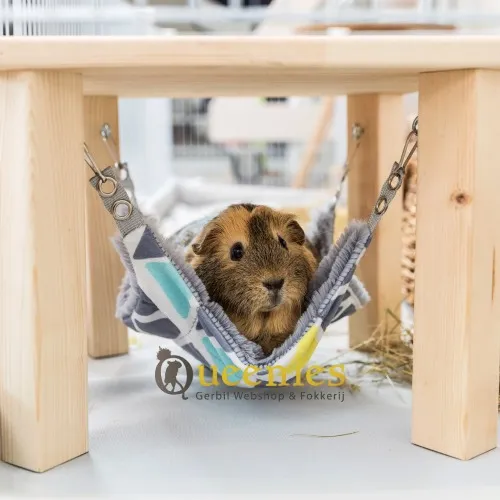 Plateau met Hangmat Sunny voor Cavia's en Fretten en Dwergkonijnen