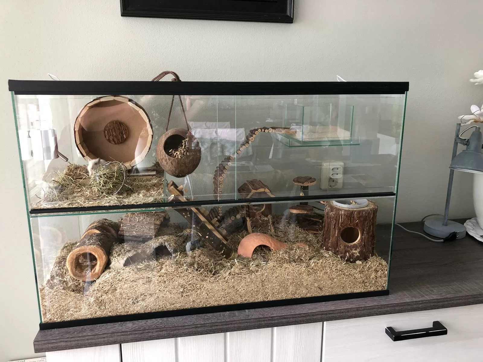 HJZHI Veelzijdige hamsterschuilplaats en verkenningstunel, hamsterhuis met klimladder van hout voor renmuizen, hamsters, kleine huisdieren, accessoires