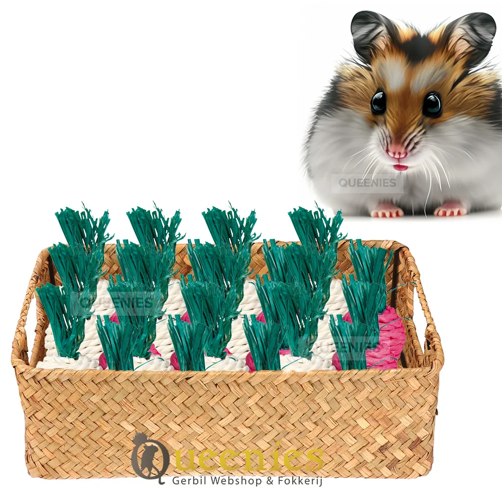 Set bestaande uit een tuigje en riem voor kleine huisdieren, een outfit met capuchon