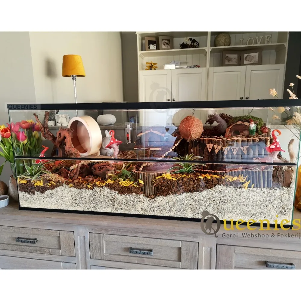 CeramicNature cocosnoot schuilplaats voor aquarium en terrarium