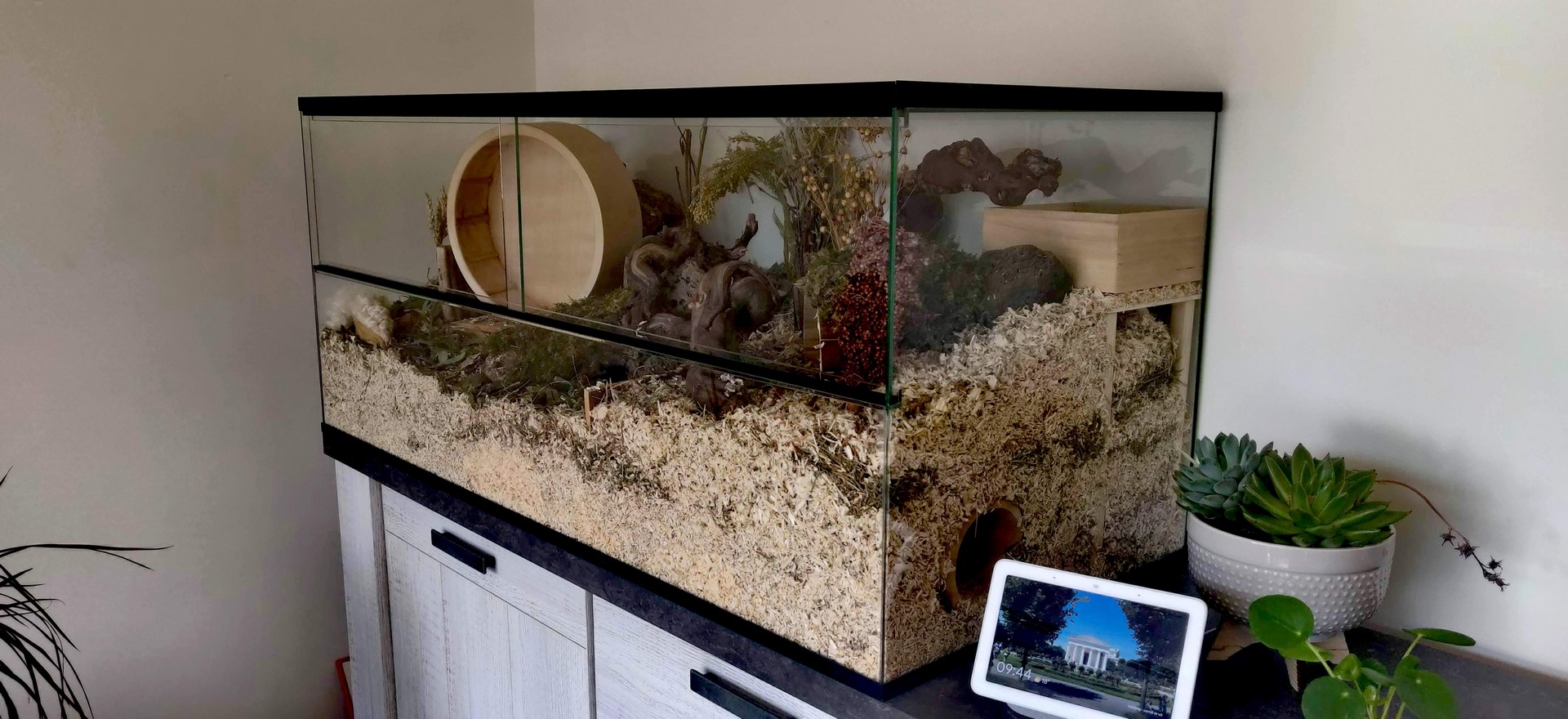 Hamster Terrarium met schuifruiten zonder plateaus