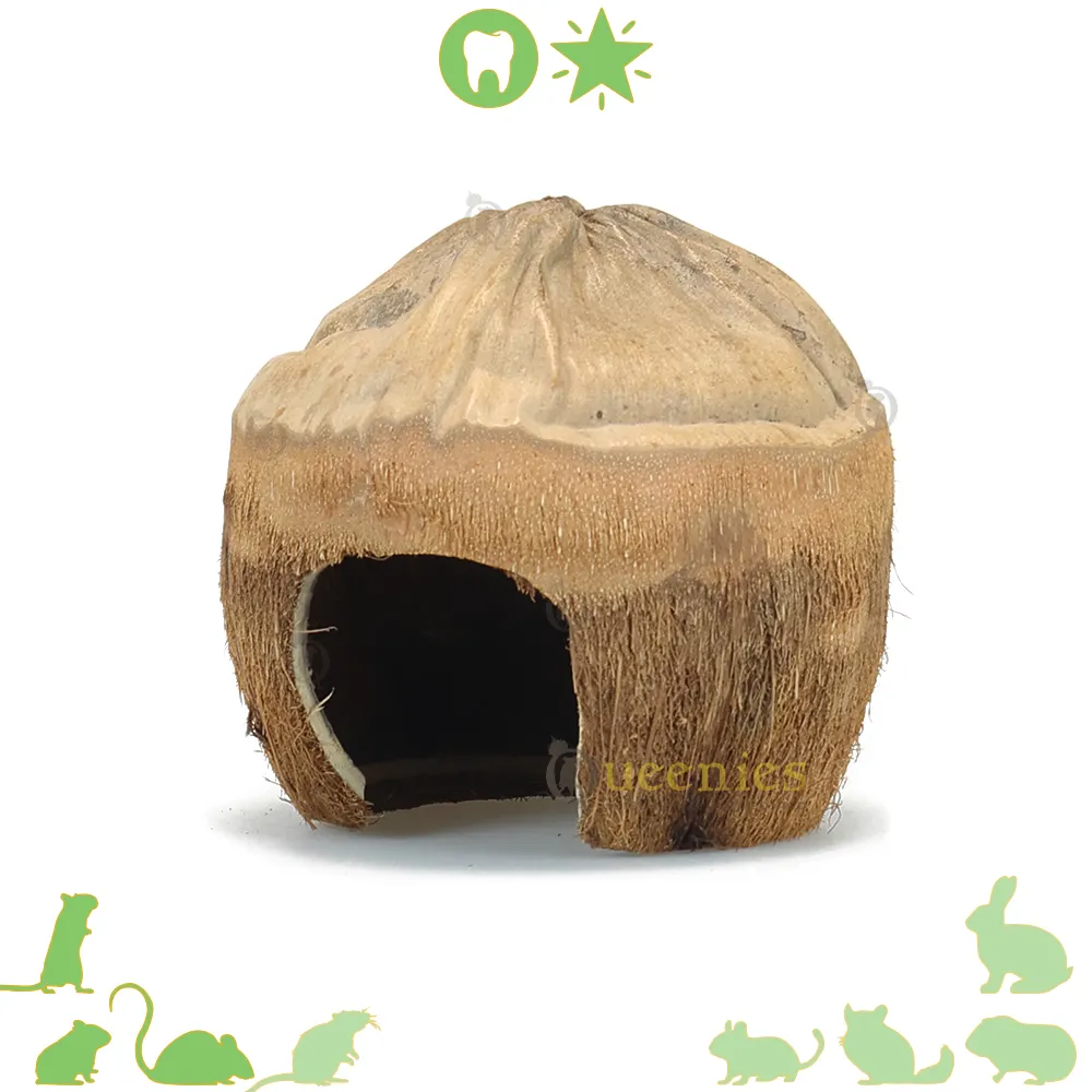 3 gaten kokosnoot - Kokosnoten huisje voor Knaagdieren 3 gaten kokosnoot - Kokosnoten huisje voor Knaagdieren