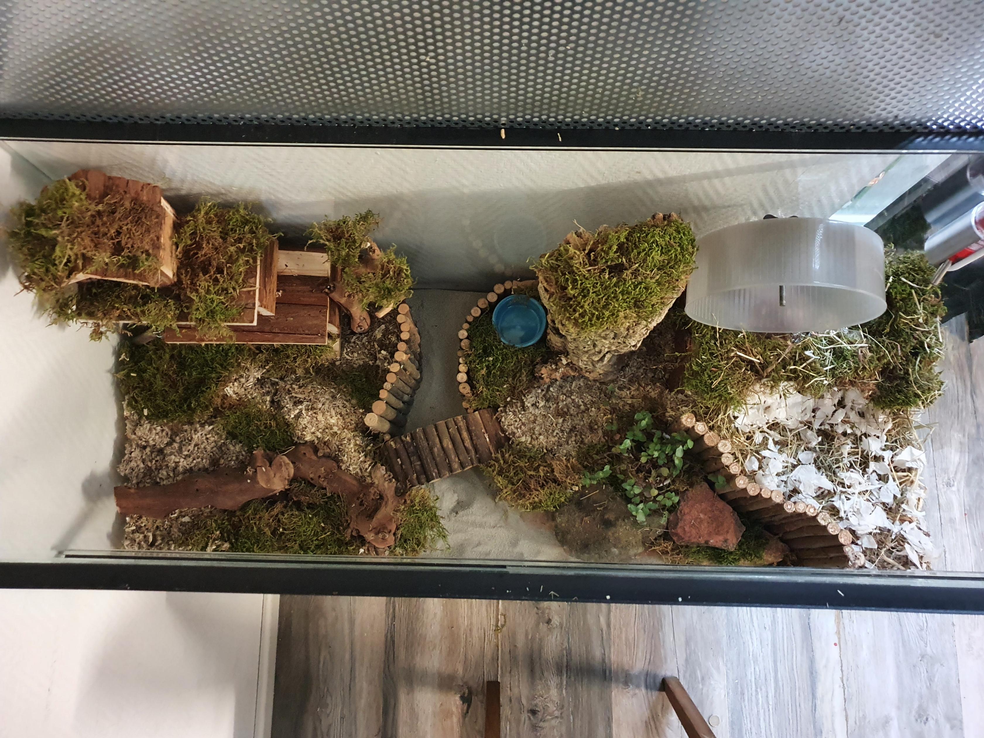 Hamster Terrarium met schuifruiten zonder plateaus