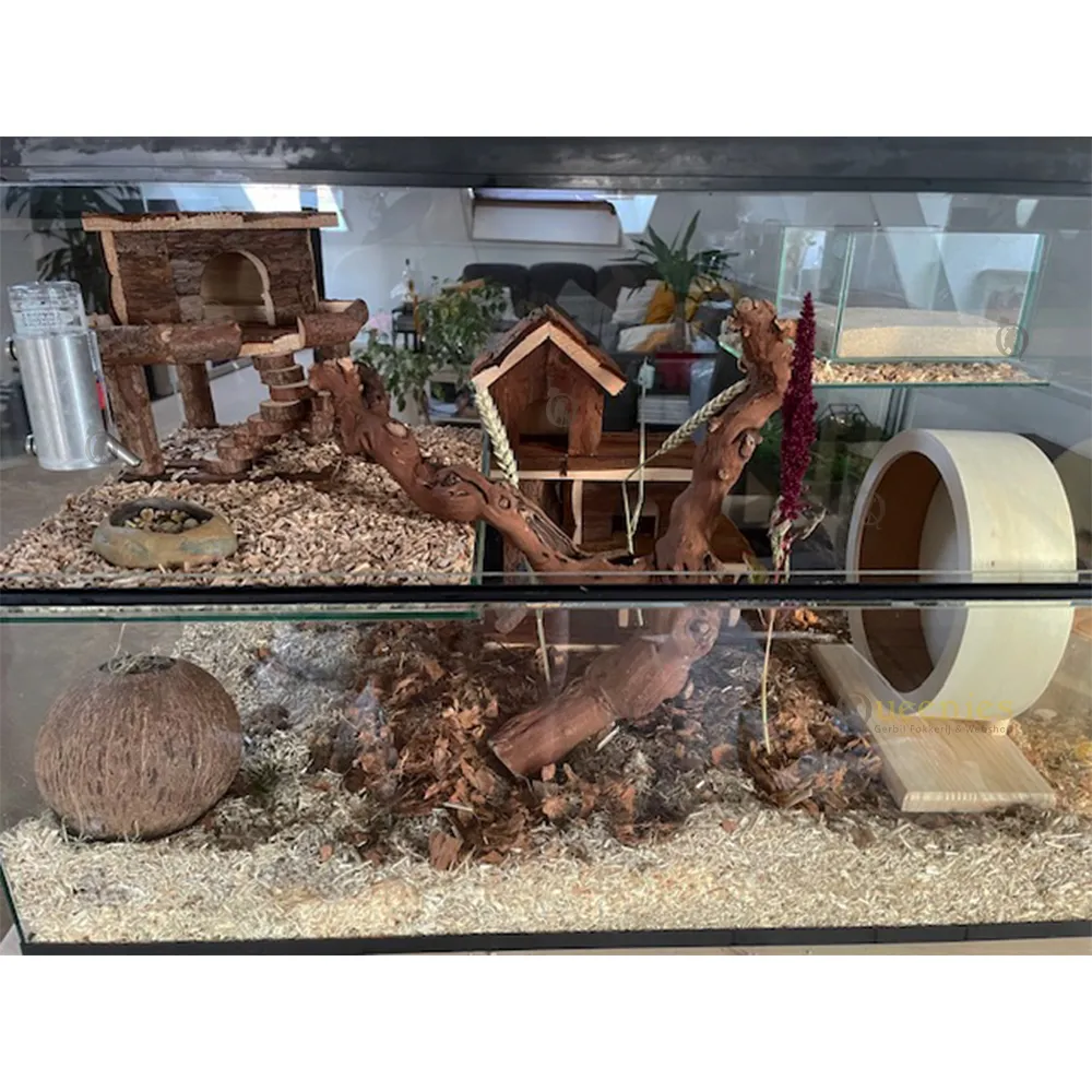 FOMIYES 3 Stuks Hamster Oefenwielrek Stevige Ijzeren Beugel Voor