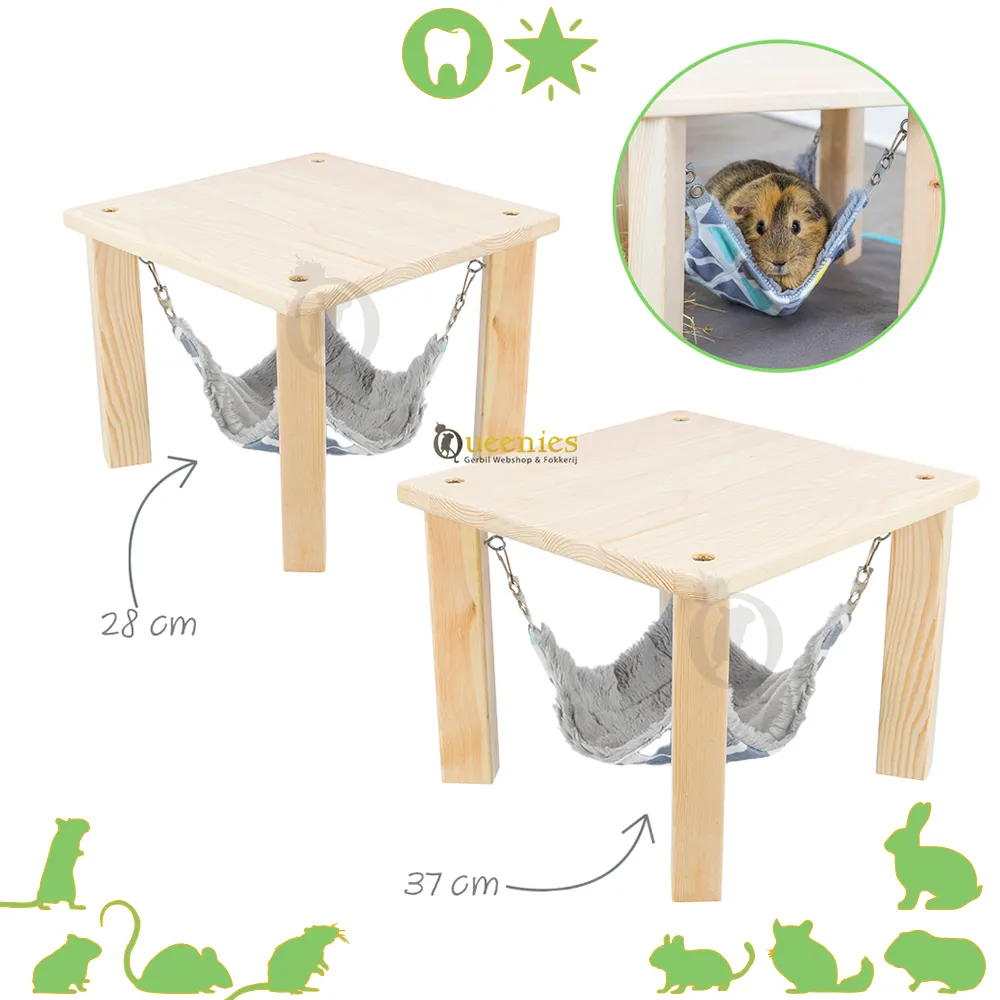 Verschillen tussen hamsters en cavia's - Cool Infographics