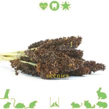 Zwarte Dari Kolf - Sorghum snack