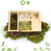 Labyrinthuis voor hamsters