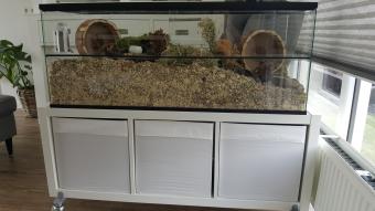 Gebruikte Hamster Terrarium 80x40x50