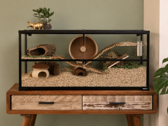 Knock Down 100x40x50 Gerbilarium met Plateaus