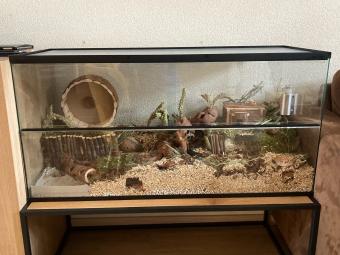 In nieuwstaat Hamster Terrarium met witte profielen