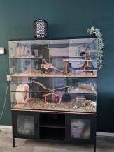 Degoe Terrarium met Dubbele schuifruiten 120x45x100