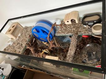 Gebruikte hamster kooi goedkoop