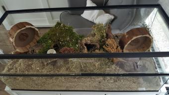 hamster terrarium met witte profielen