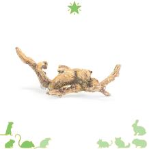 Spiderwood voor hamsters en Gerbils