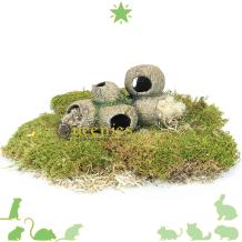 Schuilgrot voor Knaagdieren – Natuurlijke inrichting voor Hamsterscaping