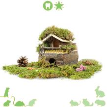 Hamster huis met 2 etages