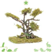Bonsai met gedroogd mos voor hamsters