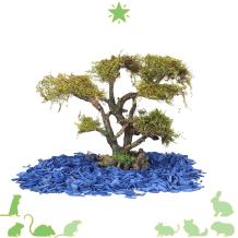 Bonsai Hamsterscaping 26 cm - Boom voor natuurlijke inrichting Hamsterscape