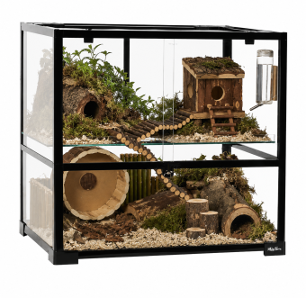 Glazen terrarium 60 x 40 x 60 cm met schuifruiten