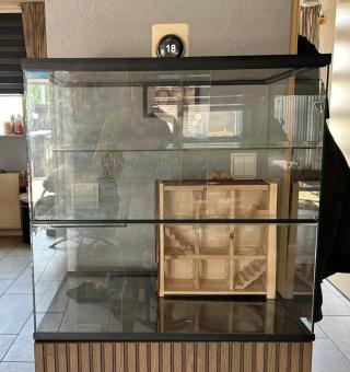Tweedehands Terrarium 60x40x60