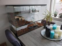 Egel terrarium 90x45x60