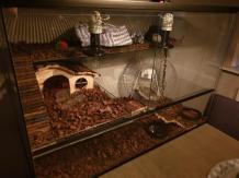 Egel terrarium 90x45x60